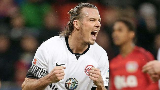 龙逼视野 龙逼视野